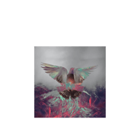 an image of a bird flying over a mountain