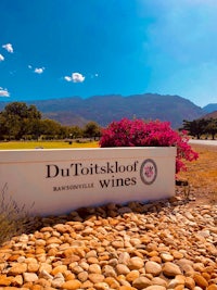 du toitskloof wines